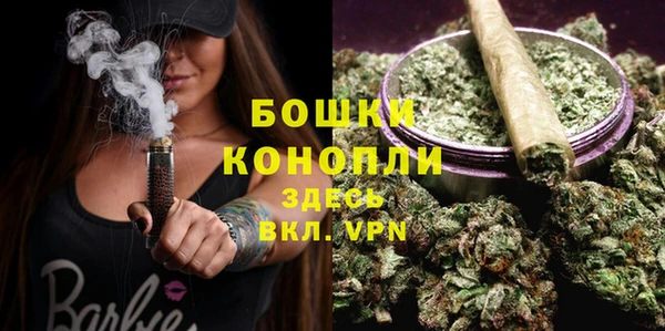 ECSTASY Липки