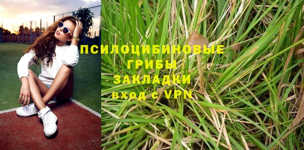 мдпв Бердск