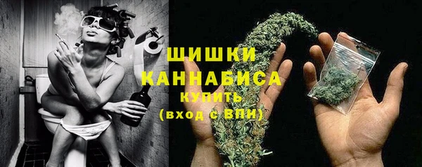 ECSTASY Липки