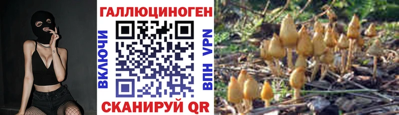 где купить наркоту  Павловский Посад  Галлюциногенные грибы ЛСД 
